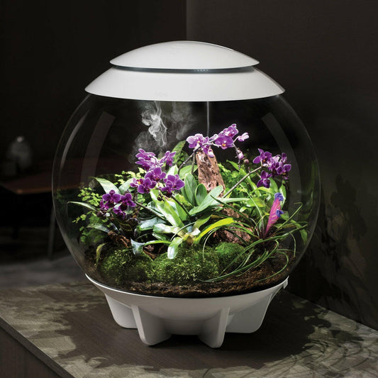 biOrb AIR 60 LED Terrarium - WHITE BiOrb