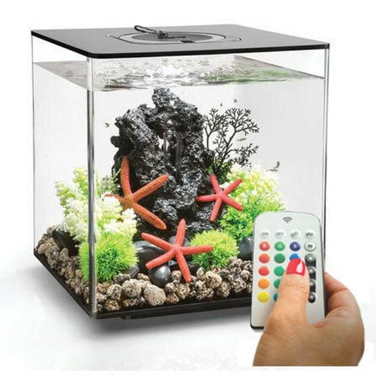 biOrb CUBE 30 with MCR LED - BLACK - 8 Gallon BiOrb