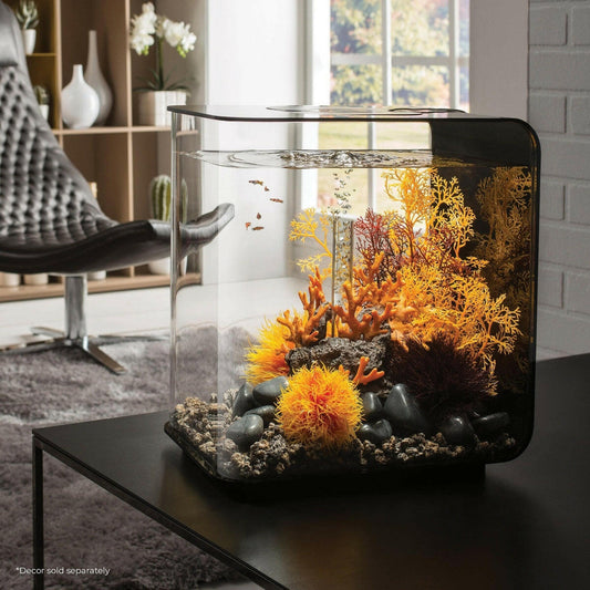 biOrb FLOW 30 Aquarium with MCR LED - 8 gallon BiOrb