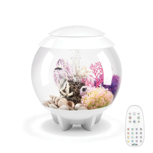 biOrb HALO 15 Aquarium with MCR Light - 4 gallon BiOrb