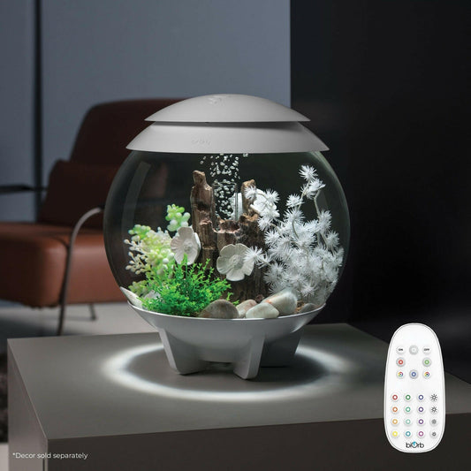 biOrb HALO 15 Aquarium with MCR Light - 4 gallon BiOrb