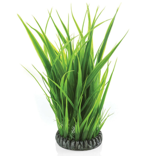 biOrb Large Grass Ring BiOrb