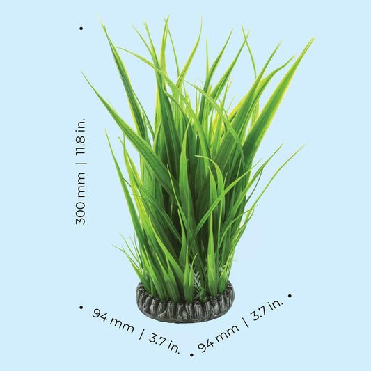 biOrb Large Grass Ring BiOrb