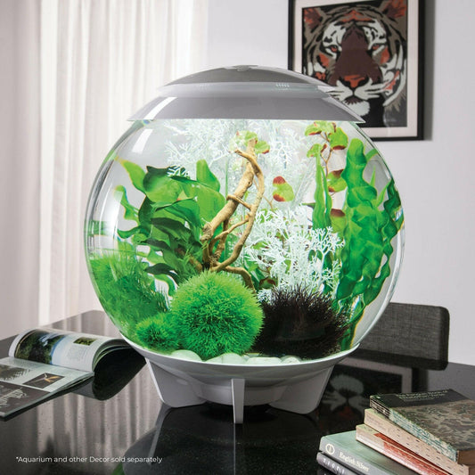 biOrb Large Green Plant Set BiOrb