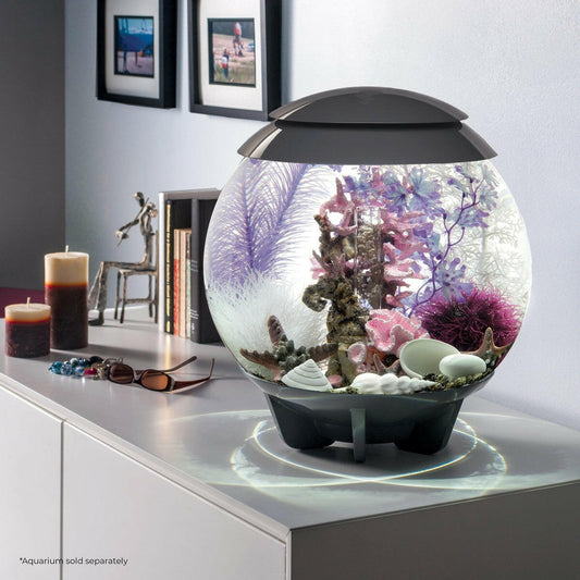 biOrb Pink Ocean Décor Set BiOrb