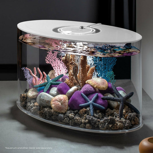 biOrb Starfish Set - Blue BiOrb