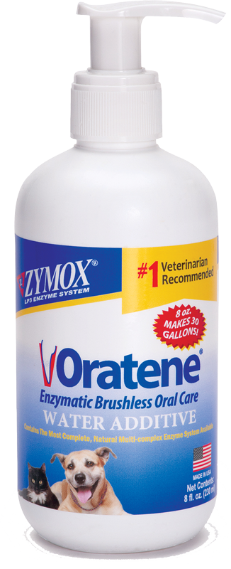 Zymox Oratene Enzymatic Brushless Water Additive.