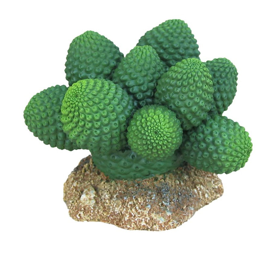 Weco Products Wecorama Badlands Pointed Sonoran Cactus Terrarium Ornament