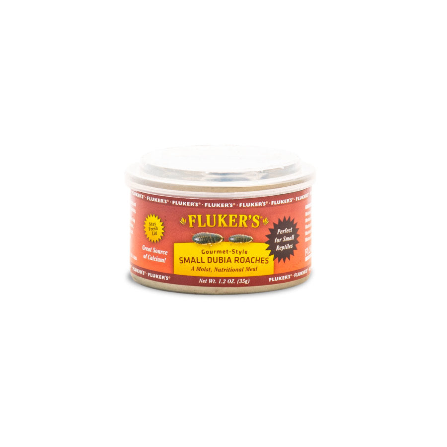 Fluker's Gourmet-Style Canned Small Dubia Roaches