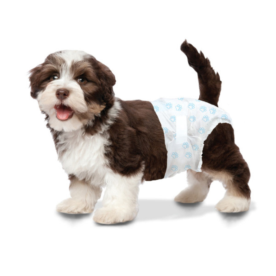 Four Paws Wee-Wee Disposable Dog Diapers