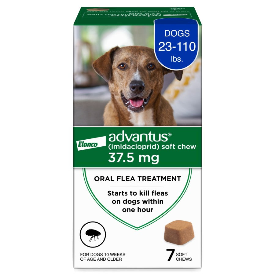 Elanco Advantus Chewable Flea Treatment for Dogs