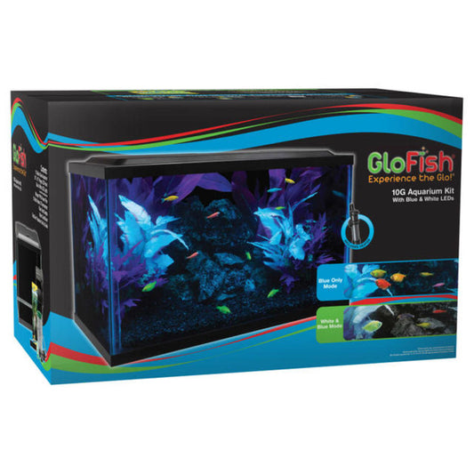GloFish Glass Aquarium Kit