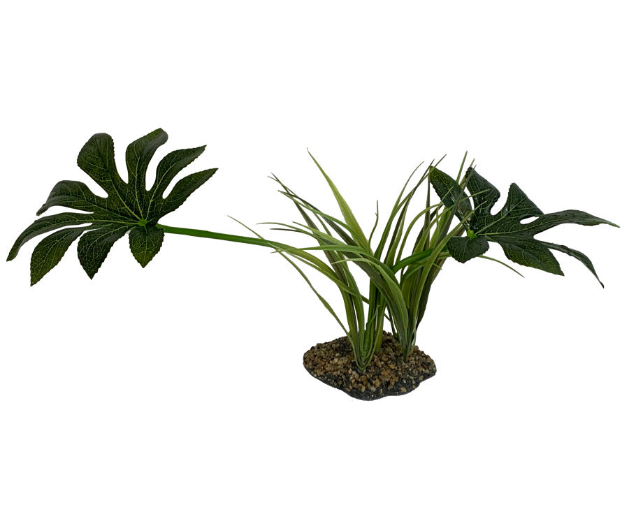 Komodo Jungle Canopy Plant