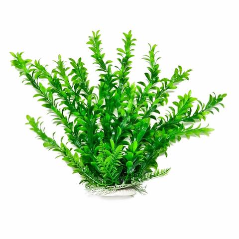 AquaTop Hygro-like 16", Green