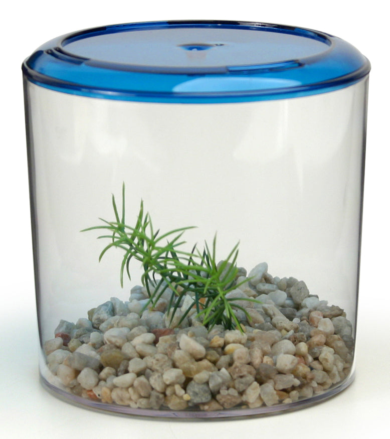 Lee's Aquarium Betta Keeper, Round with Lid, Gravel and Plant