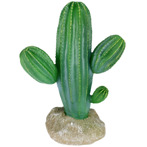 Komodo Saguaro Cactus