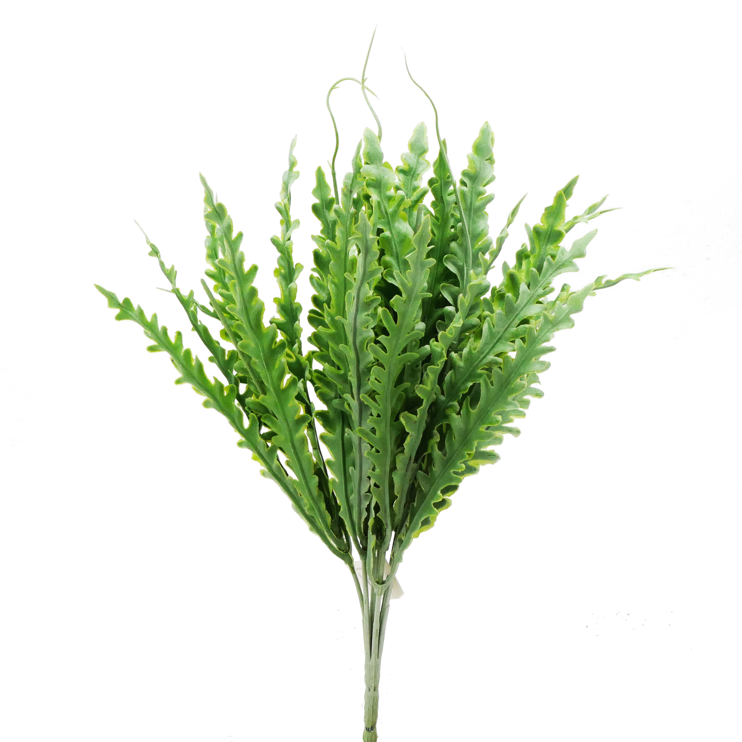 Tideline Naturescapes 12" Kelp Blade - DK GREEN