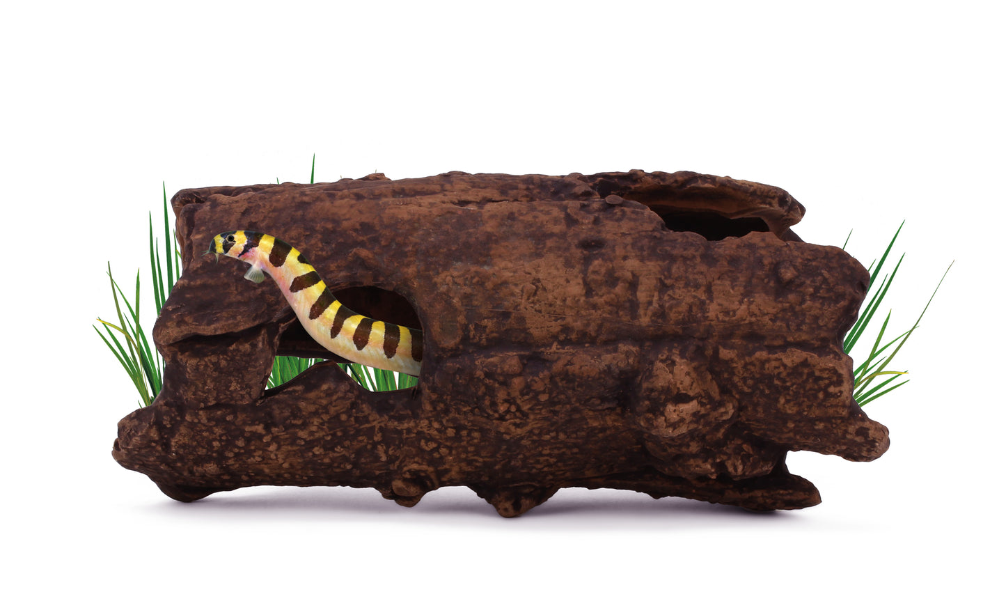 AquaVitro Ceramic Hide L2