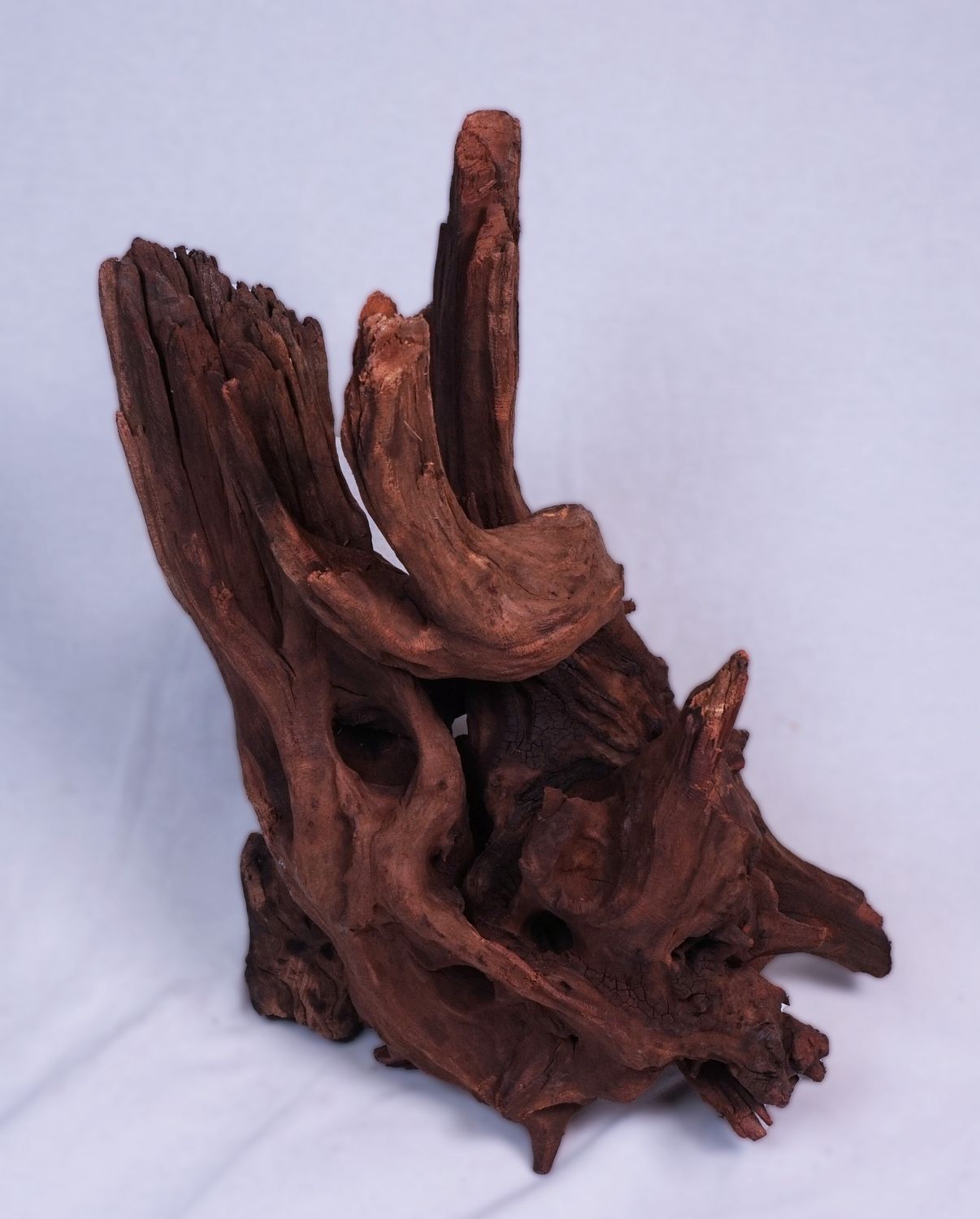Pisces USA Pisces Ancient Wood Small 9-16in