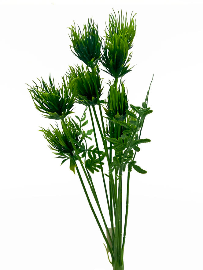 Tideline Naturescapes 20" Tilandsia