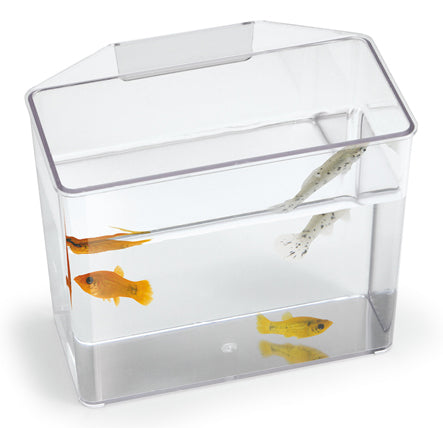 Lee's Aquarium "Break Resistant" Specimen Container - Small
