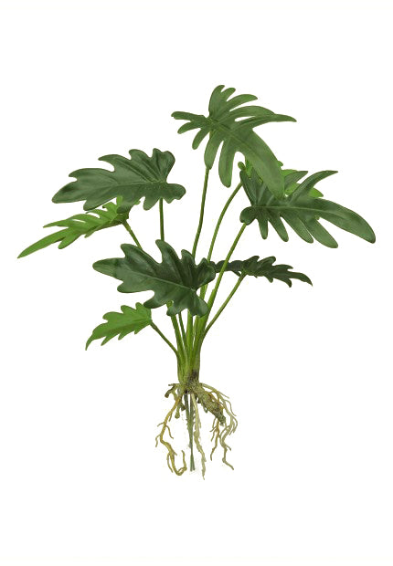Tideline Naturescapes 15.5" Sellum Philo Plant w/ Roots x