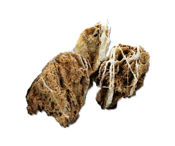 Tideline Naturescapes Bone Stone