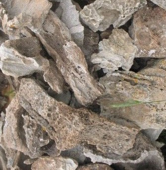Tideline Naturescapes Naturescapes Lace Rock