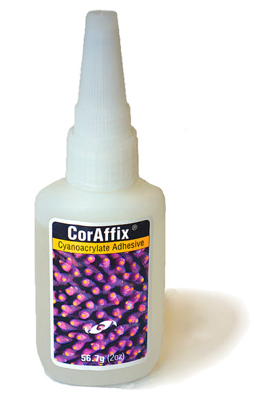 Two Little Fishies CorAffix Coral Glue 2oz