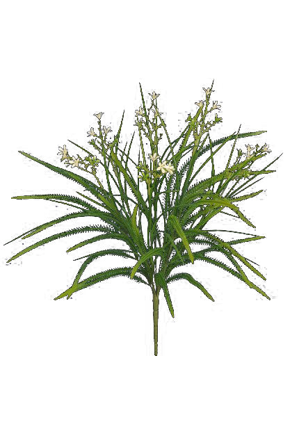 Tideline Naturescapes 17" Astible Star Flower/Millet Grass Cream