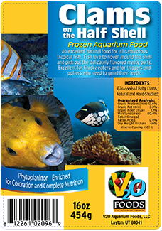 V2O Aquarium Clams 1/2 Shell