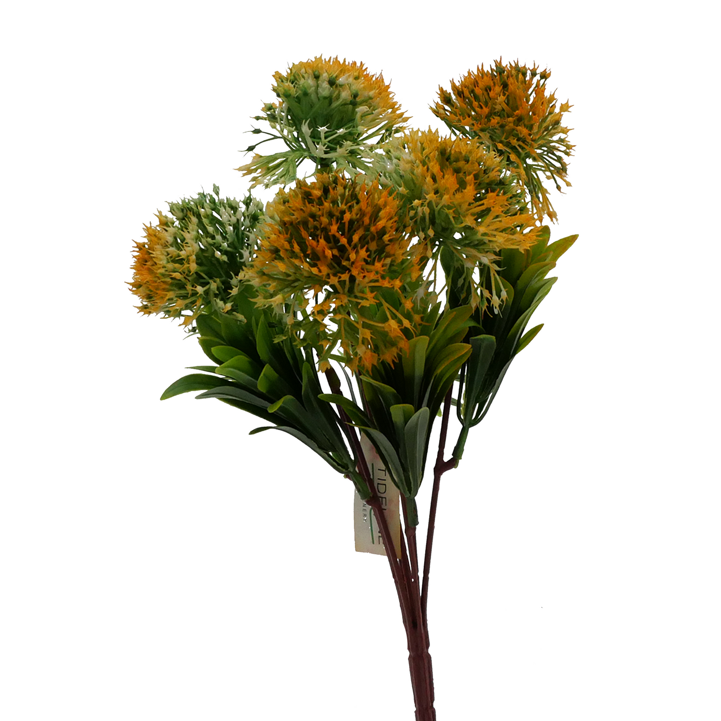 Tideline Naturescapes 12" Bluebell Allium - YELLOW