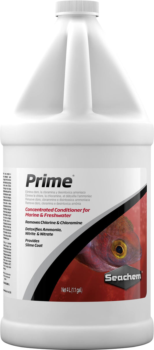 Prime - 4L