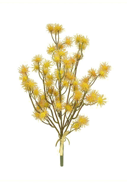 14" Cocklebur Spray (FVC) Fall - ORY