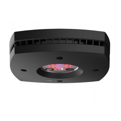 AI Lighting HYD16FUB AquaIllumination Refugium Fixture AI Prime Fuge 2020