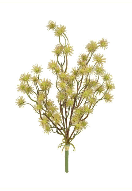 Tideline Naturescapes 14" Cocklebur Spray (FVC) Fall - SG