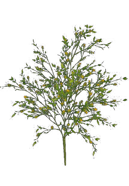 Tideline Naturescapes 21" Hebe Leaf/Berries Bush
