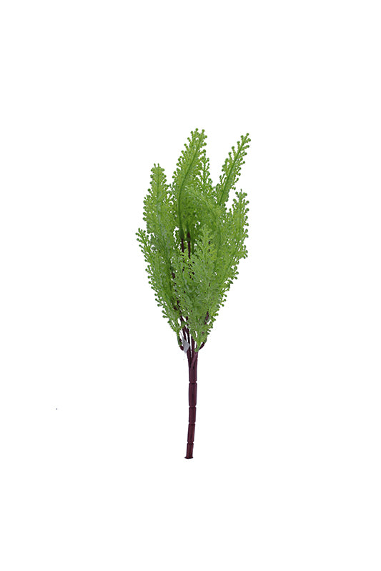 Tideline Naturescapes 12" Maidenhair - White