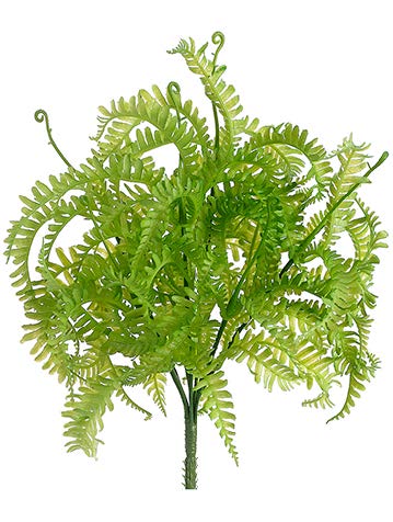 Tideline Naturescapes 10" Mini Fern Bush Green