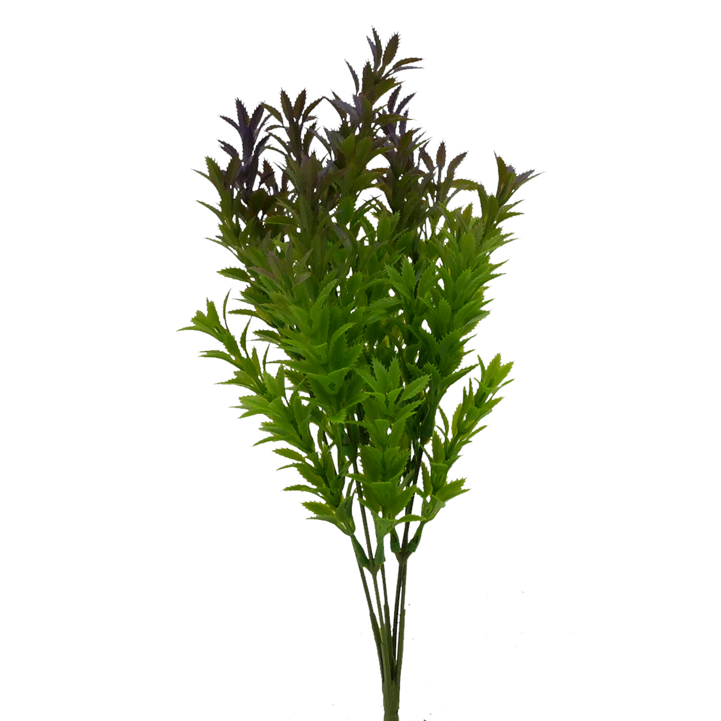 Tideline Naturescapes 12" Mermaid Weed - PURPLE