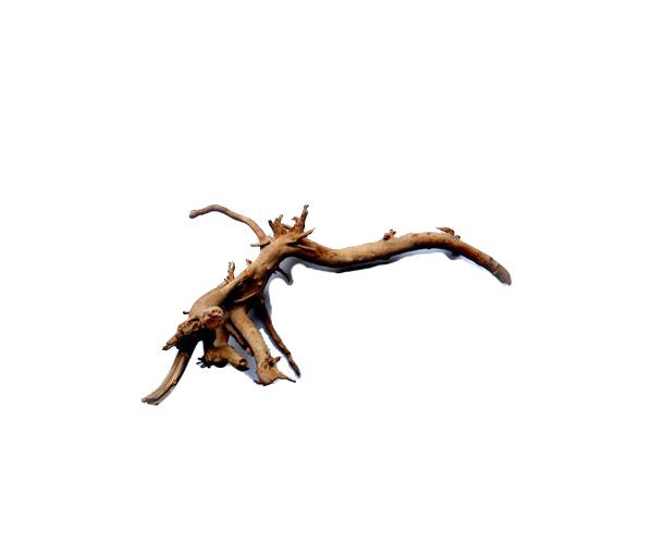 Tideline Naturescapes Spider Wood 10"-15" Small