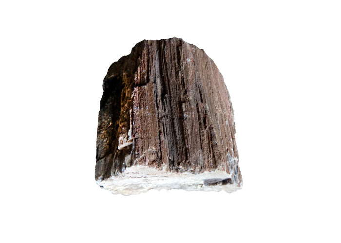 Tideline Naturescapes Wooden Fossil Stone (Petrified Wood Stone) 44lbs