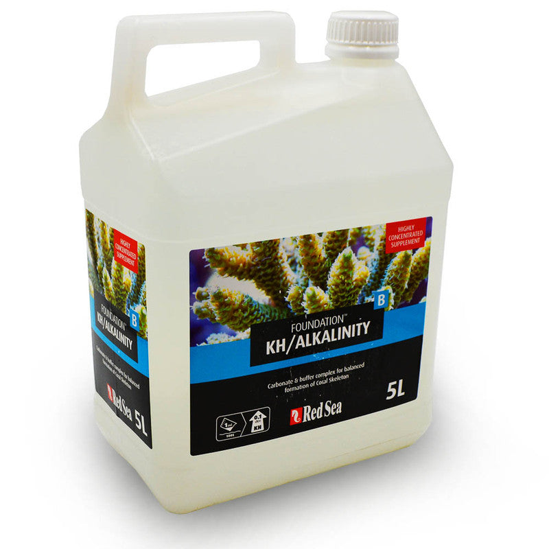 Reef Foundation B 5L
