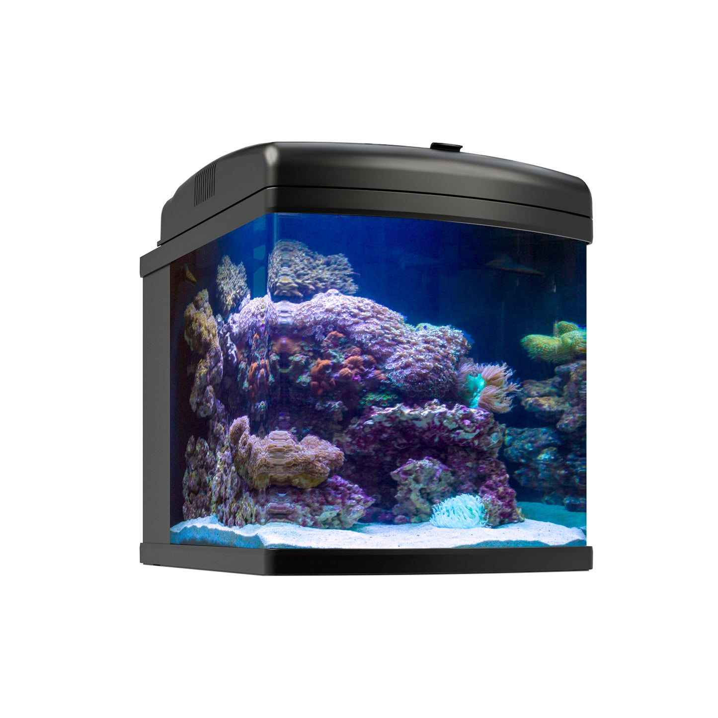 28G Nano Cube LED - 40w AIO