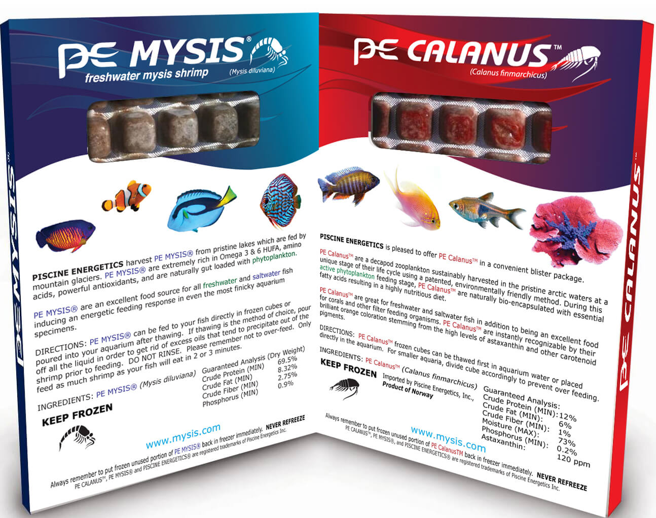 Piscine Energetics Mysis Shrimp / Calanus Cubes (Frozen)