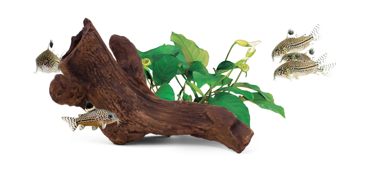 AquaVitro Ceramic Hide B2