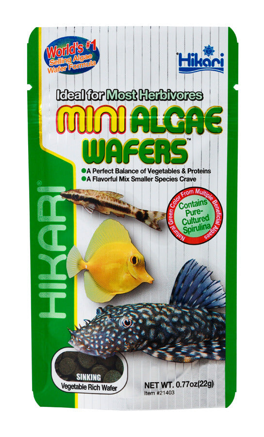 Hikari Mini Algae Wafers