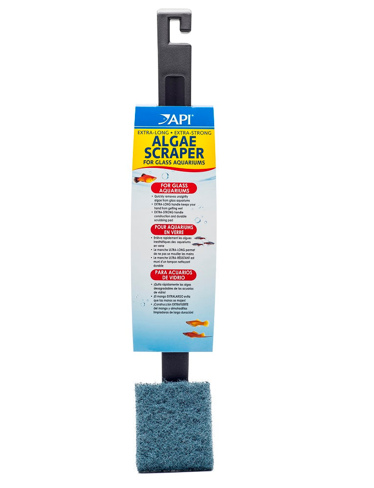 API Algae Scraper for Glass, XL