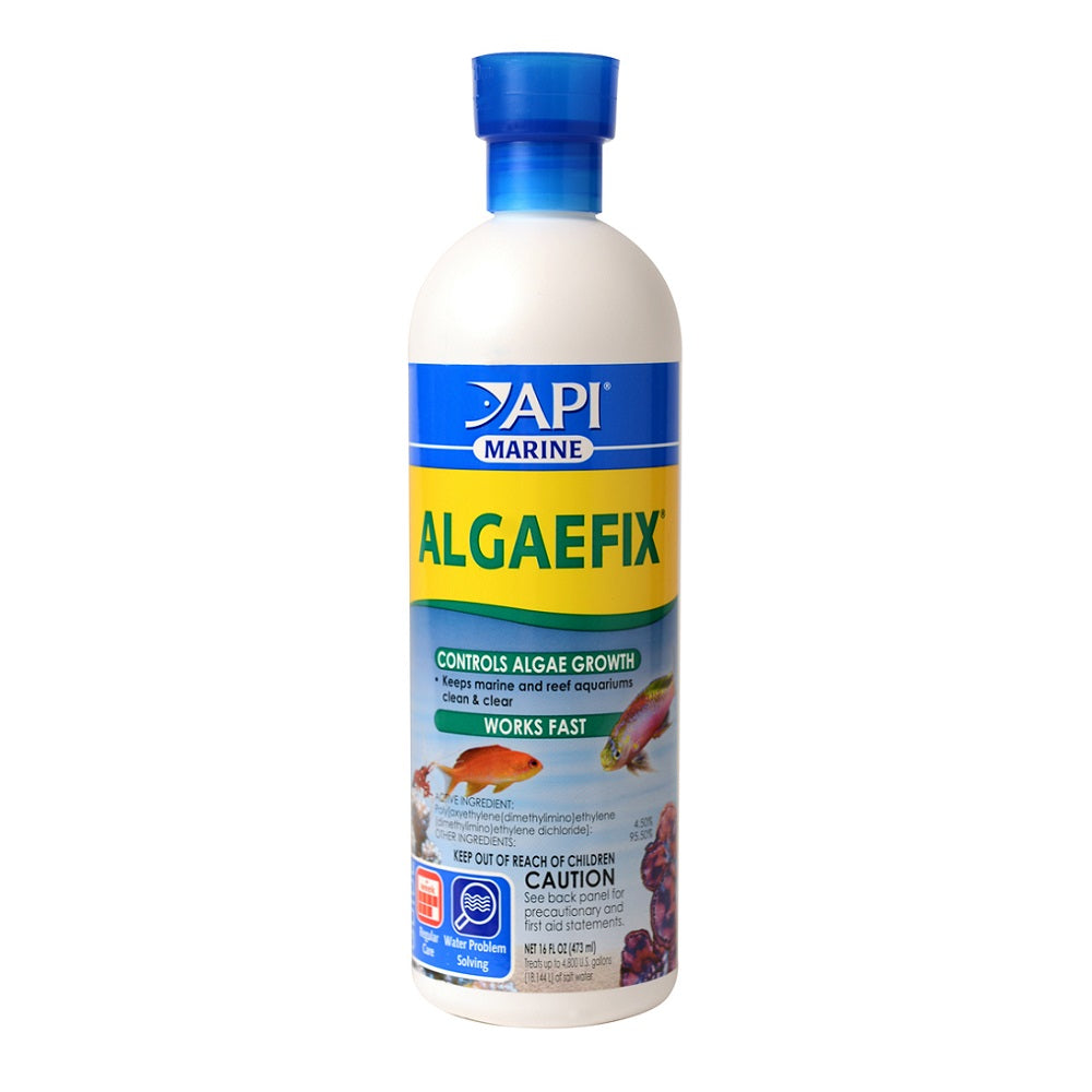 API Marine Algaefix