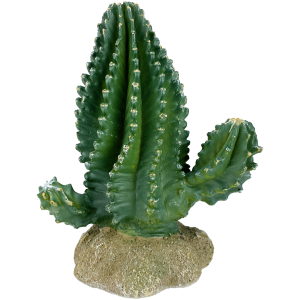 Komodo Columnar Cactus